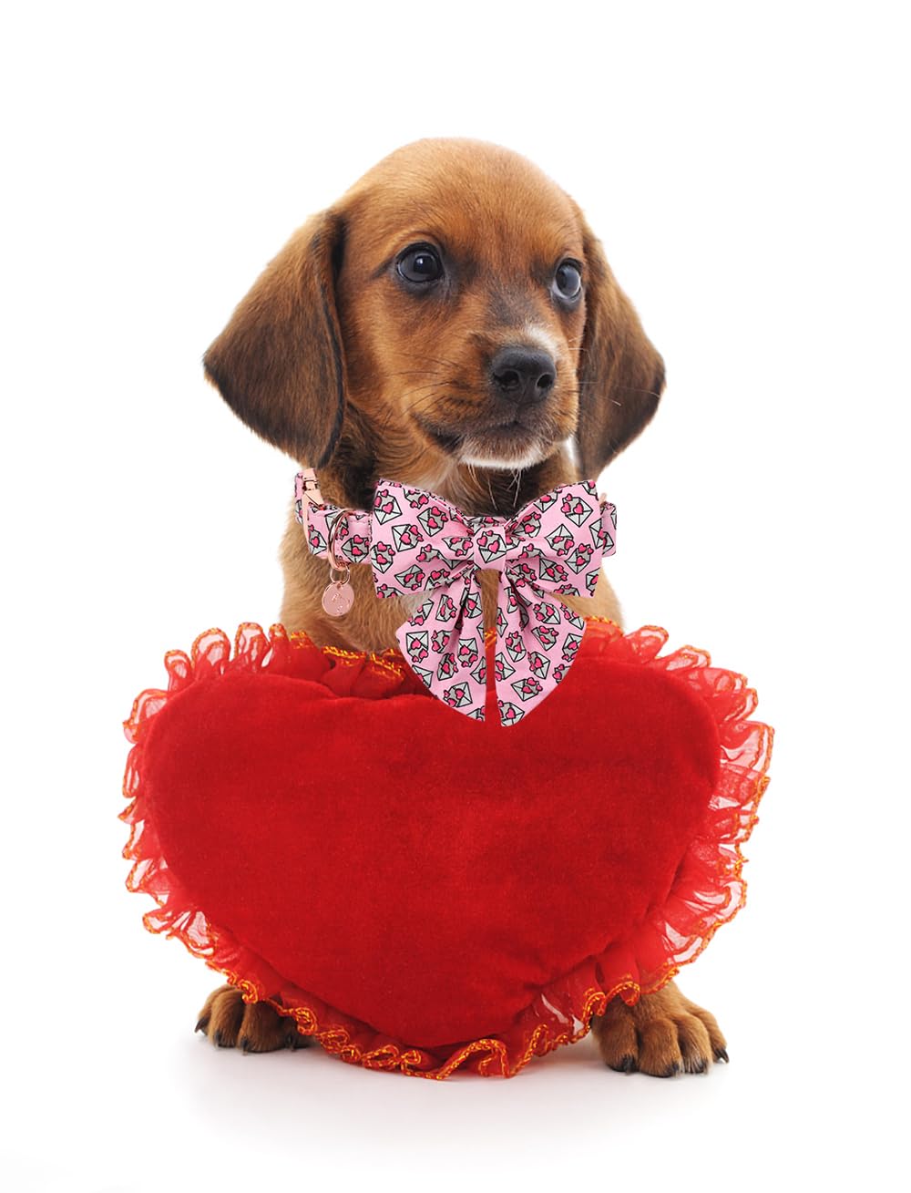 Dogwong Valentine'S Day Dog Collar With Saolor Bowtie, Adjustable Durable Pink Heart Collar For Small Medium Dogs