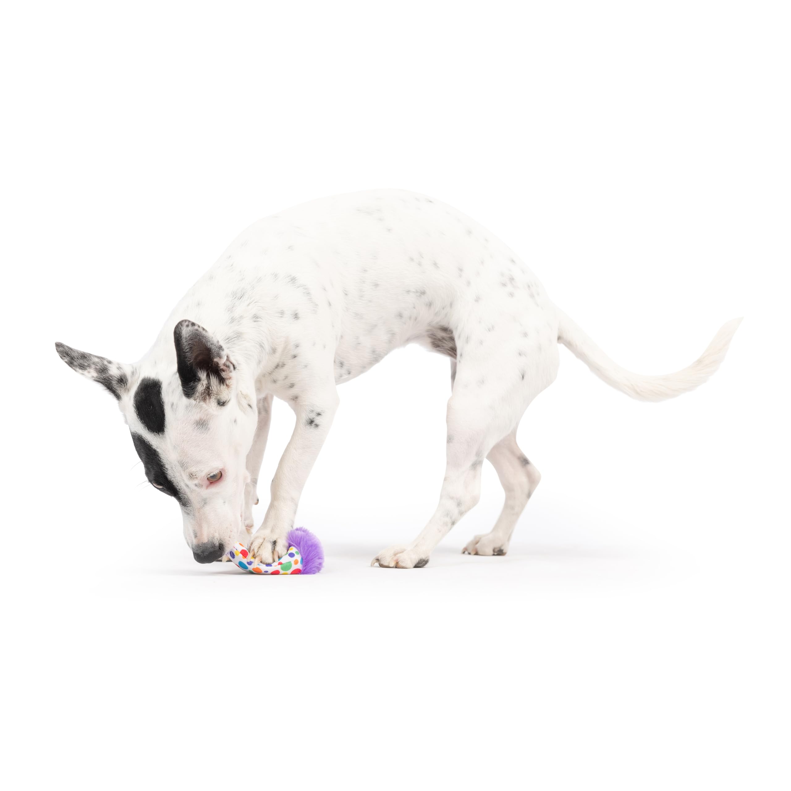 Huxley & Kent H&K Dog Tiny Tuff Polka Dot Party Hat