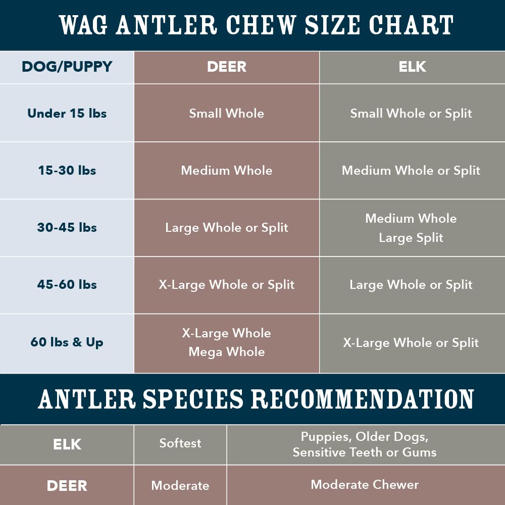 WAG Split Elk Antler Dog Chew - Naturally Shed, X-Large 9.5-10.5 inches, Ideal for Dogs Over 45 lbs