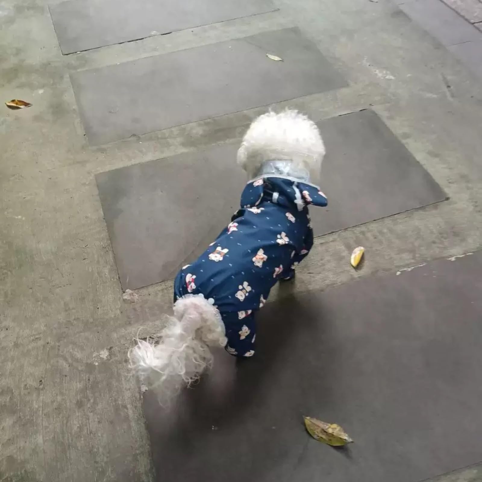 Harikaji Small Dog Raincoat, Tail Protect Feet Cover Waterproof Dog Rain Jacket Dog Rain Coat For Puppy Small Dogs (Navy Bear,M)