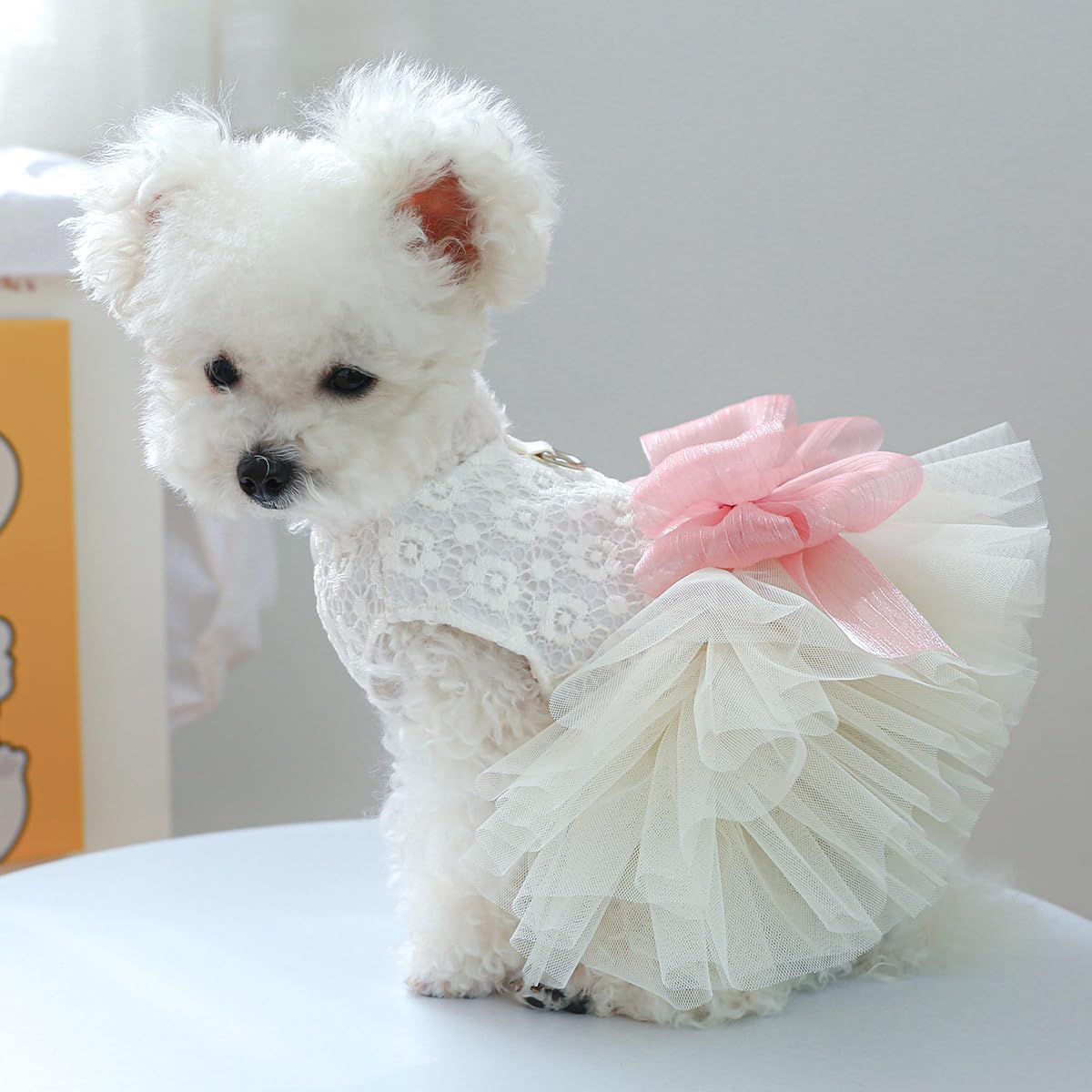 Puppy Clothes Girl Dresses Medium Dog Clothe Tutu Dress For Girl Dog Puppy Clothes For Small Dog Outfits M Pink