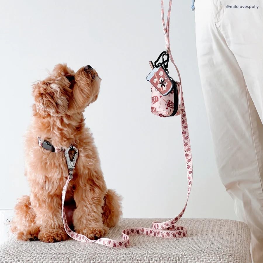 Lucy & Co. Dog Collar - Durable Lightweight Designer Collar For Pets - Adjustable Metal Safety Buckel. (Iced Coffee Szn Collar).