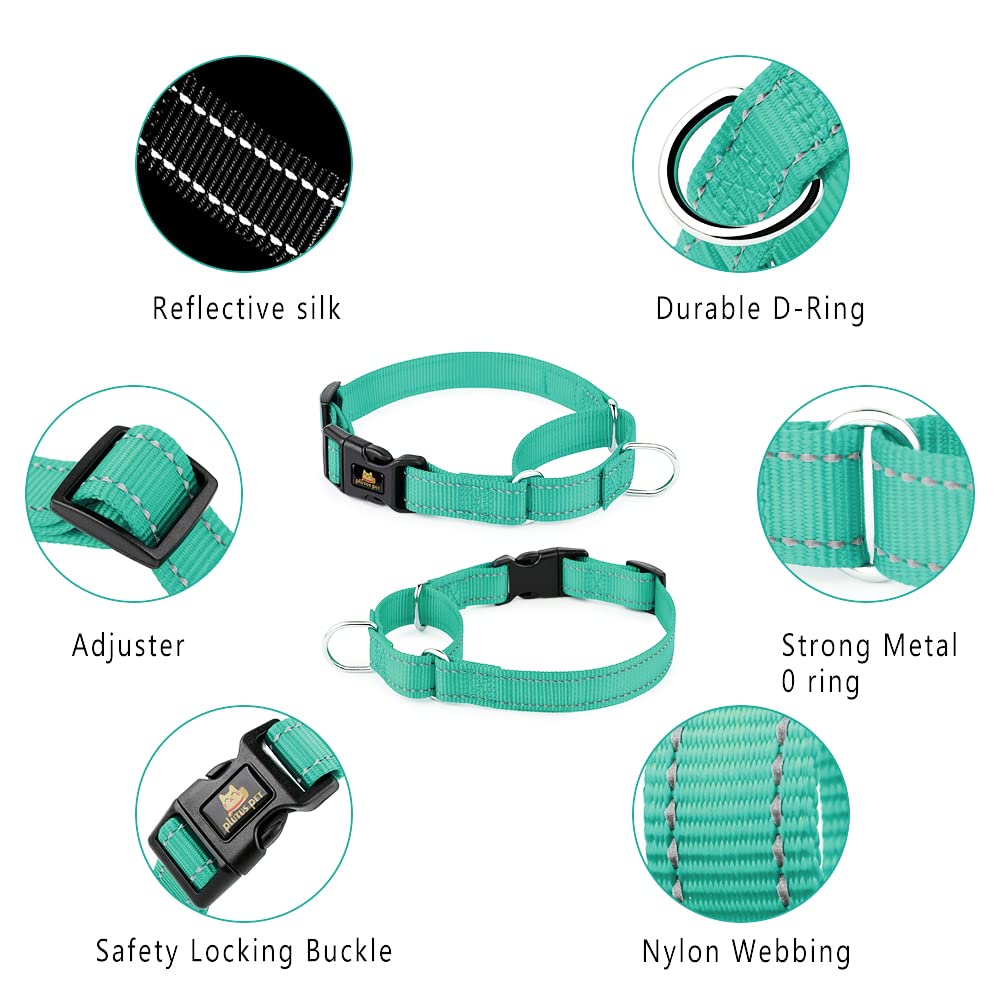 Plutus Pet Reflective Martingale Collar With Buckle - Durable And Adjustable Training Collar For No Pulling, Dog Choker Collar For Small Medium Large Dogs, Teal, S