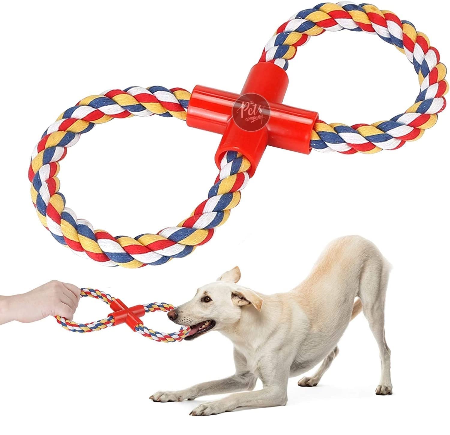 The Pets Company Cotton Rope Loop Tug Dog Chew Toy, Puppy Teething Toy, 14 Inches, Color May Vary