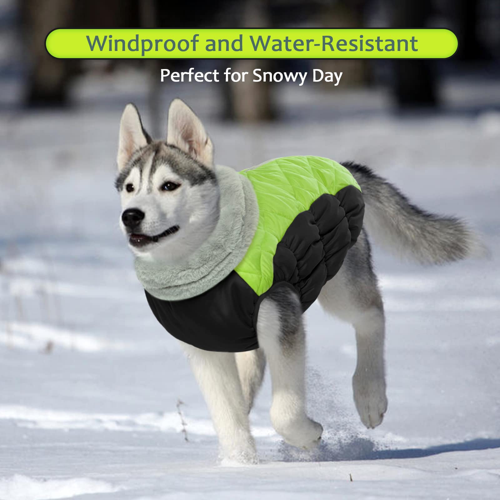 LeLePet Waterproof Medium Dog Coat, Lime Padded Vest with Harness, Windproof Reflective Fleece Jacket for Winter