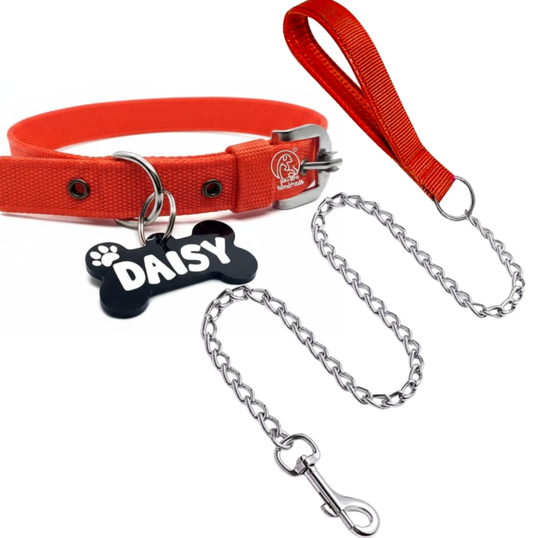 Pawpro Handmade Personalized Name Tag Id Dog Collar And Leash Set For Dogs Of From Large To Small Puppies (Large, Red),20 Cm