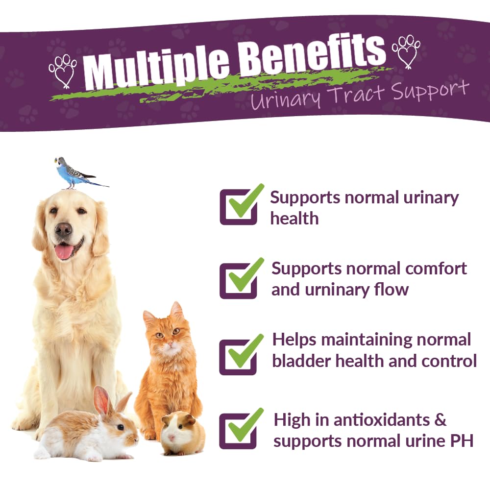 AMBER NATURALZ UTR Urinary Tract Herbal Supplement for Dogs, Cats, Birds, Guinea Pigs, and Rabbits | Pet Herbal Supplement for B
