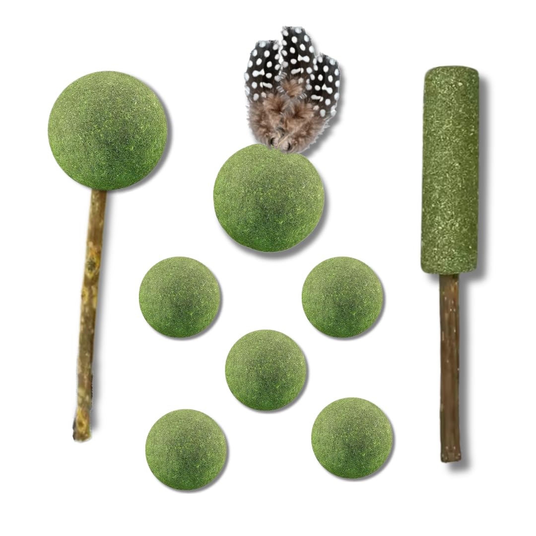 Pet Fun Catnip Mint Ball Toy Combo | Natural Catnip Treats For Teeth Cleaning, Chewing, And Licking | Fresh Breath & Playful Fun