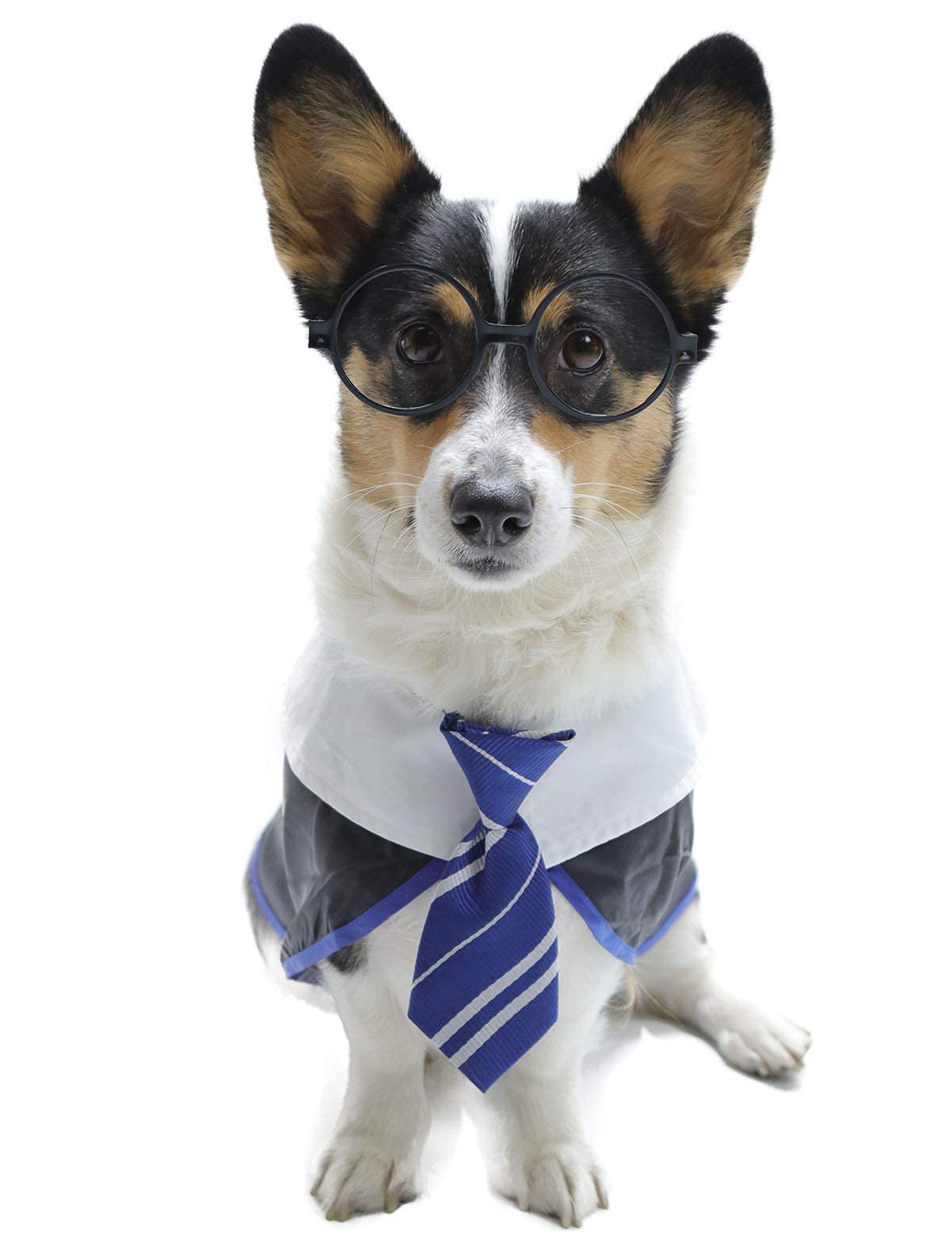 Impoosy Pet Halloween Dog Shirts Funny Cat Wizard Costume Cute Apparel Soft Clothes With Glasses (Large,Neck:18')