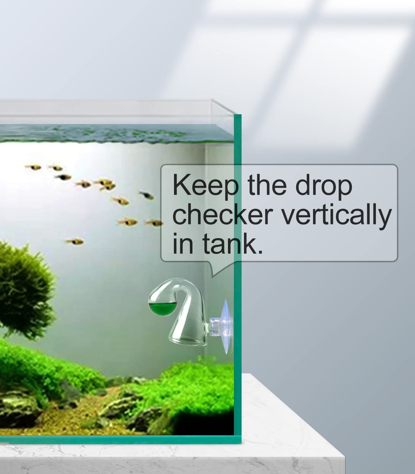 Clscea Aquarium Co2 Drop Checker Co2 Indicator (Glass Checker+15Ml)