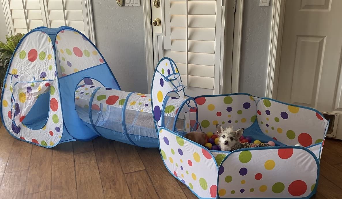 Piggy Poo And Crew Interactive Pet Tunnel And Ball Pit | Fun Pet Playhouse | Includes 50 Balls | Collapsible Design | Indoor/Out