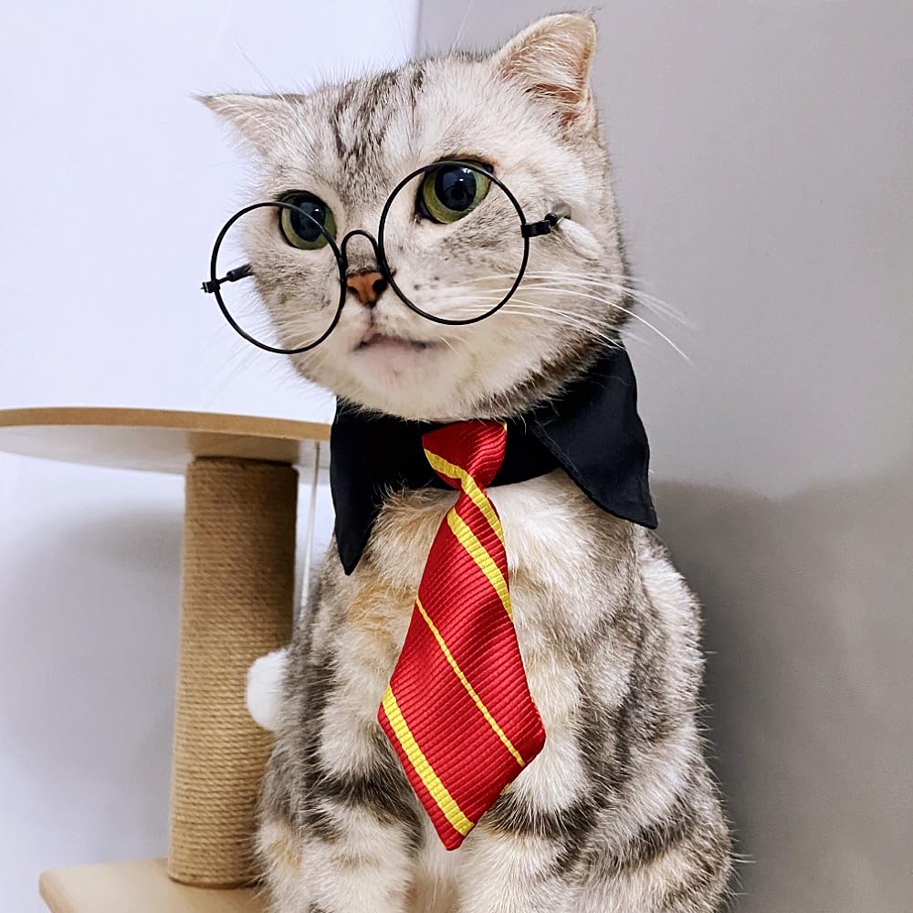Cat Witch Costume Halloween Costume For Pet Wizard Cute Decorations Suitable For Small Dogs And Cats