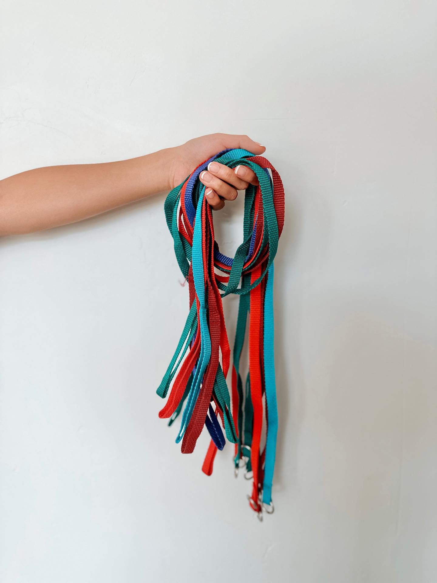 Midlee 4 Foot Dog Kennel Slip Lead Heavy Duty Nylon Pack Of 10 Assorted
