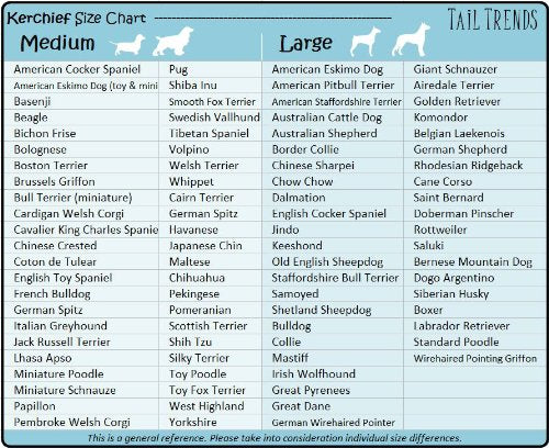 Tail Trends Dog Bandanas With Flip Flops Design For Bbq Beach Days Fits Medium To Large Sized Dogs- 100% Cotton