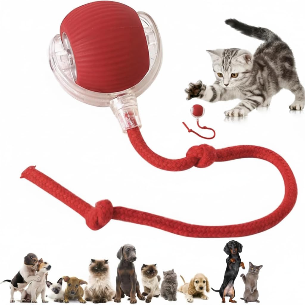 Buszbo Interactive Rechargeable Smart Pet Chase Ball  Automatic Rolling Toy With Speedy Tail Rope For Bored Cats & Small Dogs