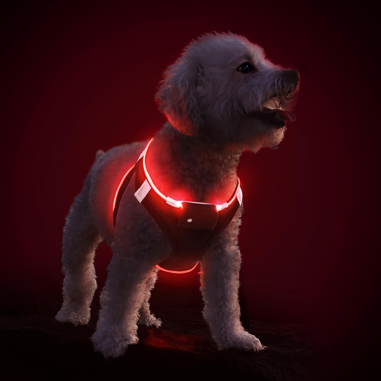 Pceotllar Light Up Dog Harness - Led, No Pull, Reflective, Flashing For Night Walking - Small/Medium Dogs (Red)