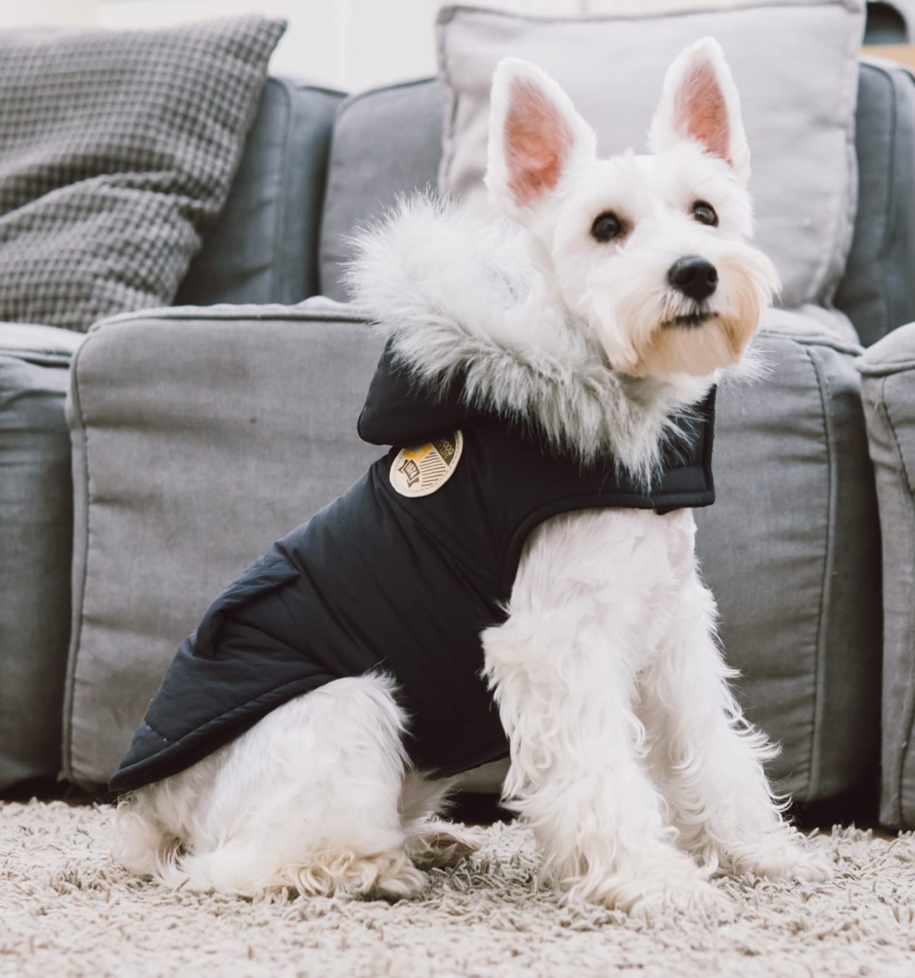 Touchdog 'Eskimo-Swag' Duck-Down Parka Dog Coat, Large, Grey