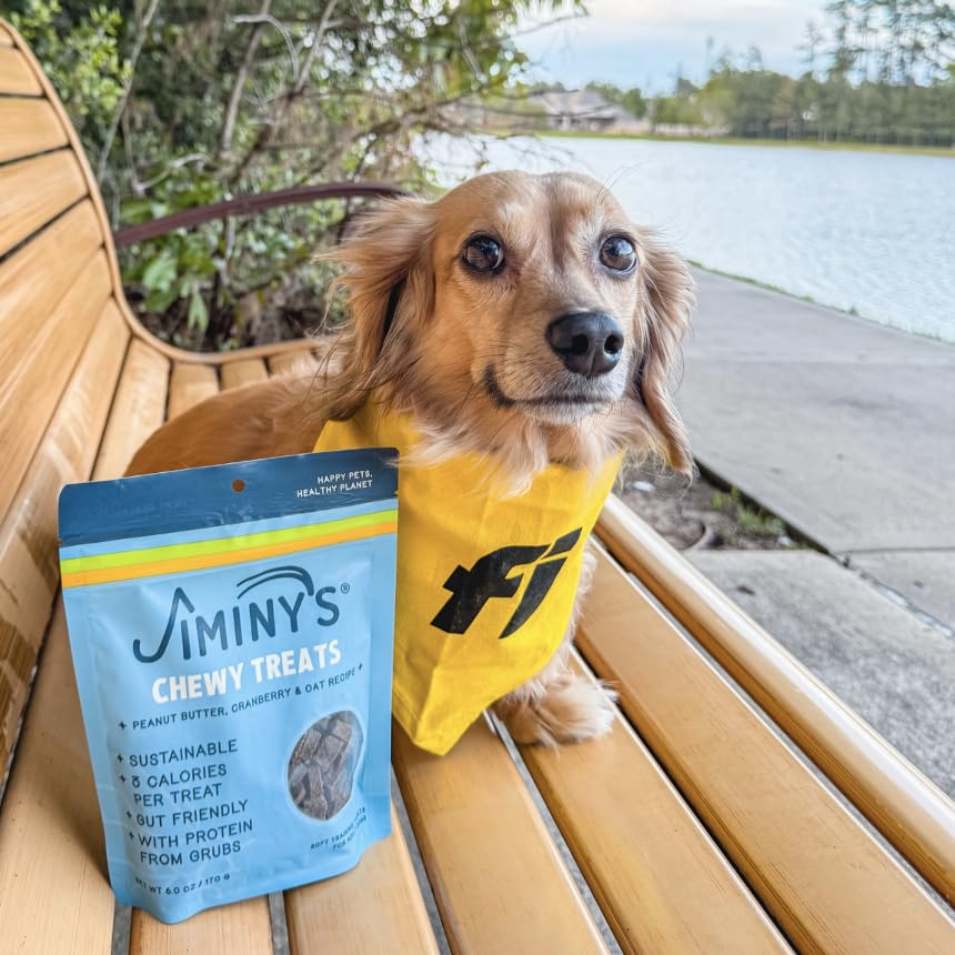 Jiminys Chewy Training Treats for Dogs, Low Calorie, Hypoallergenic Insect Protein, Made in USA, 6oz, Peanut Butter & Cranberry