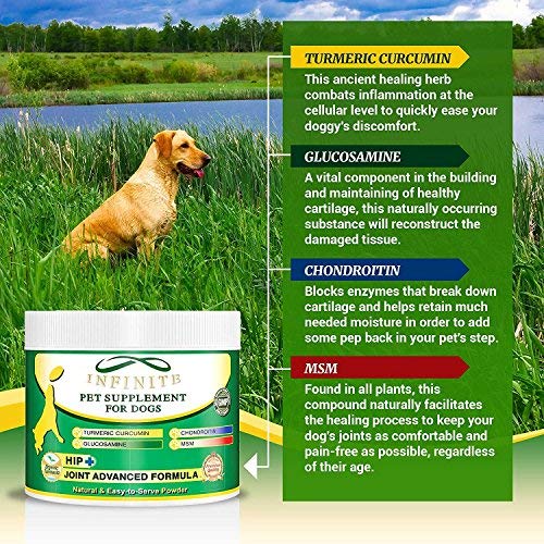 Hip & Joint Supplement Powder