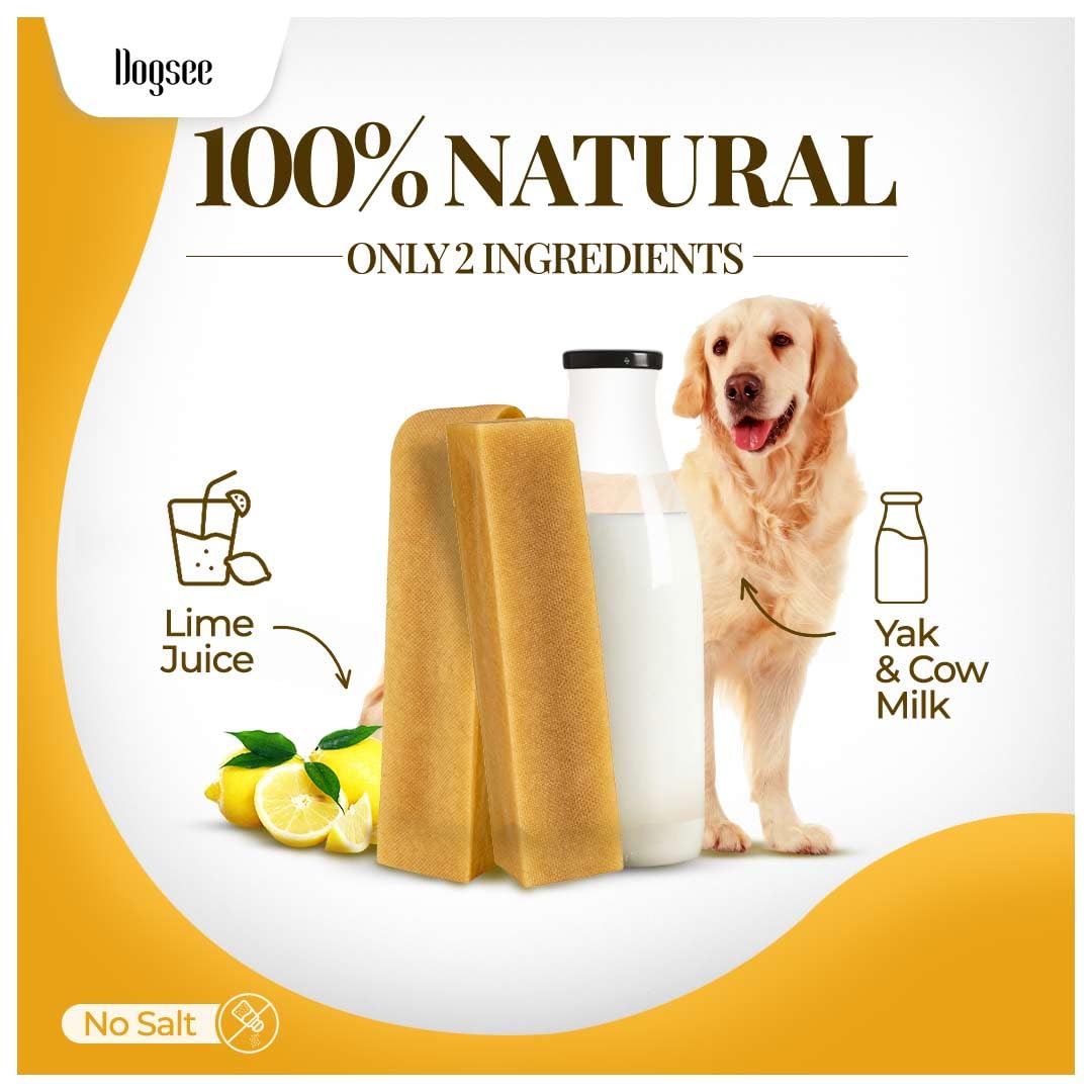 Dogsee Original Himalayan Yak Cheese Dog Chews XL - 6 Chews | Dog Treats Rawhide Free | Fight Plaque & Tartar | All Natural Long