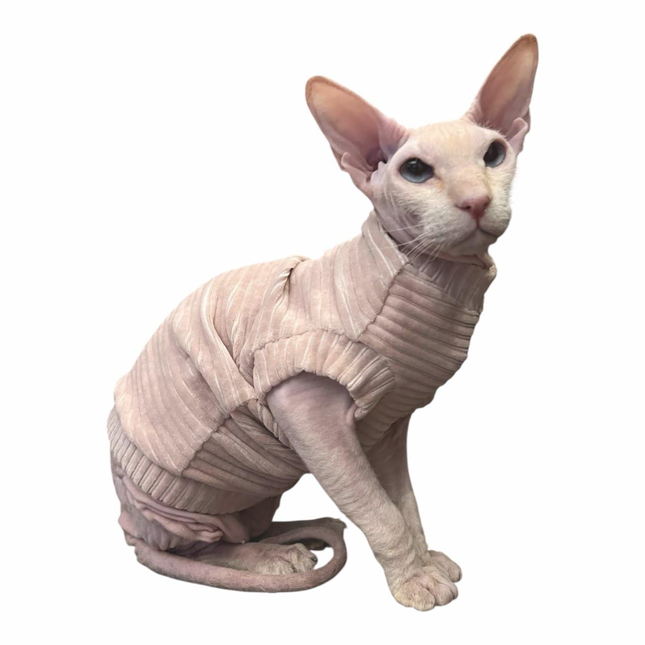 Kotomoda Cat'S T-Shirt Corduroy For Sphynx And Naked Cats, Cat Onsie, Cat Body Suit, Cat Suit, Cat Clothing, Cat Coat, Kitten Ba