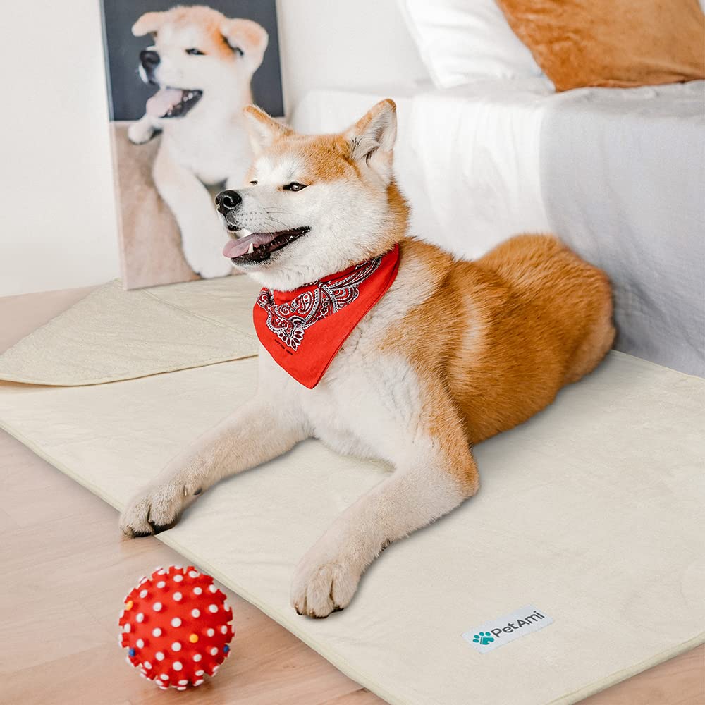 Petami Waterproof Dog Blanket For Small Medium Dogs, Pee Proof Pet Blanket Sherpa Fleece Couch Cover, Reversible Cat Throw Bed Sofa Protector, Soft Plush Washable Pad (Small 24X32, Beige)