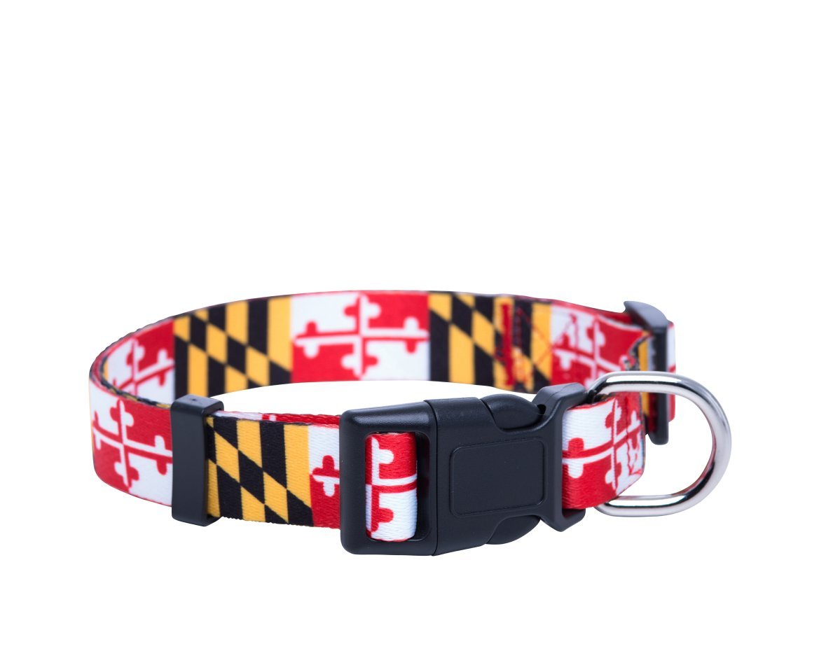 Native Pup Maryland Flag Dog Collar (Maryland, Large)