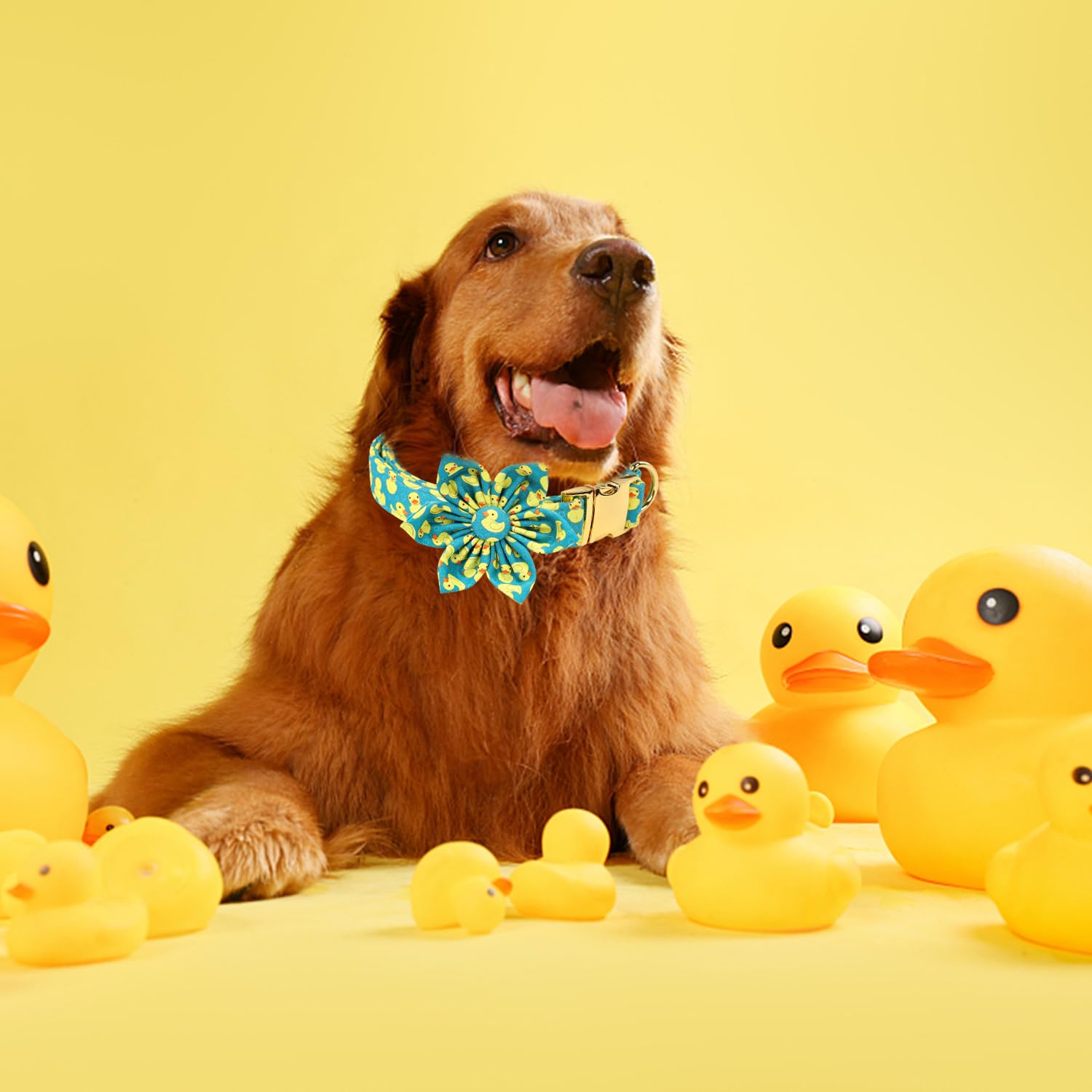 Maca Bates Flower Green Duck Dog Collar With Flowers For Dogs Green Flower Adjustable Breakaway Cute Collars Accessories Gift Fo