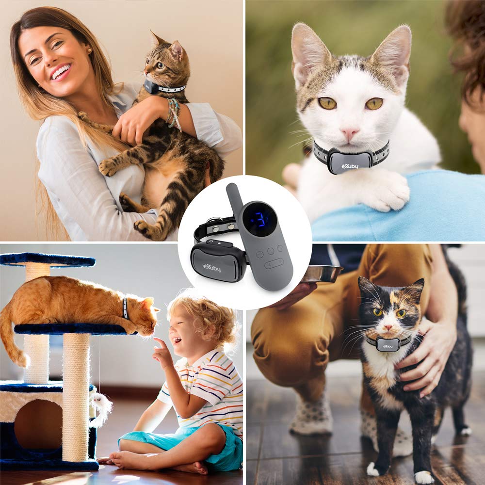 eXuby Cat Training Collar w/Remote - 3 Correction Modes, 9 Intensity Levels, Small, Gray, Water Resistant
