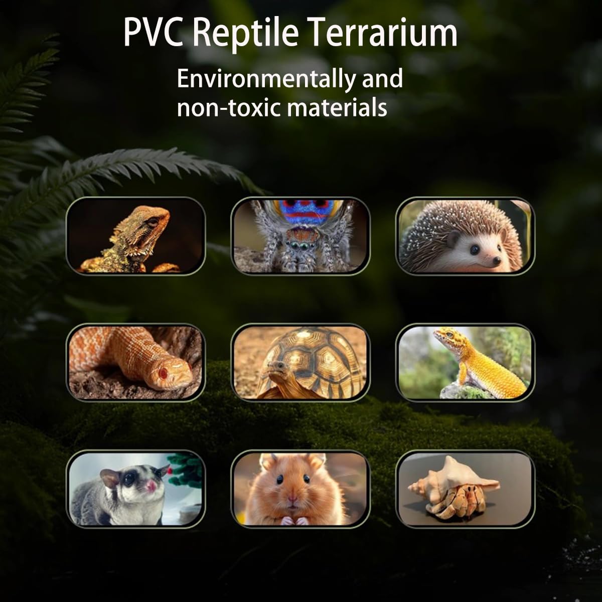 Pvc Terrarium, Reptile Tanks Enclosure For Ball Python Snake Gecko Bearded Dragon, Pvc Lounge Habitat With Glass Sliding Door An