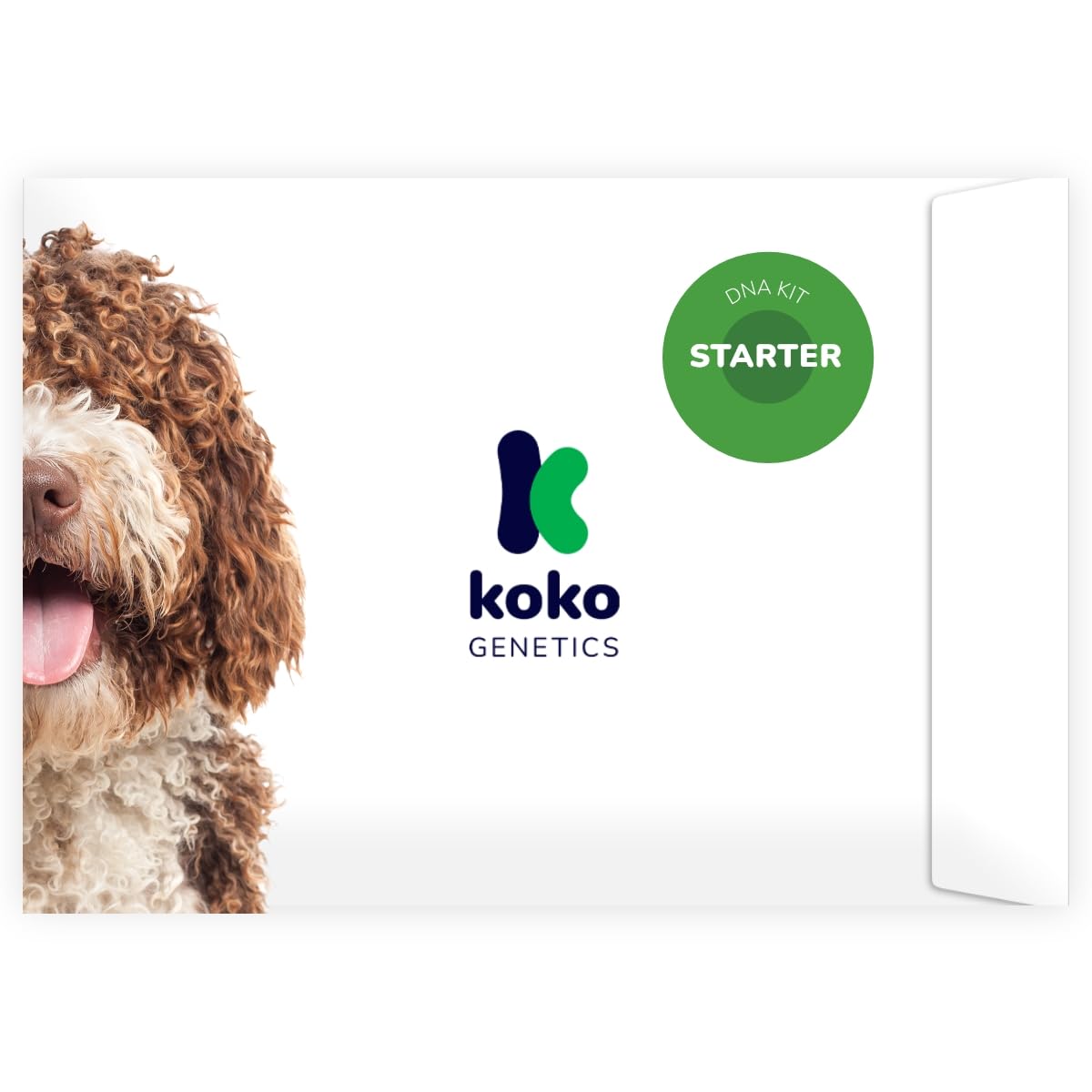 Koko Genetics Starter DNA Test for Dogs, Analyzes & Identifies 400+ Breeds and Offers 25+ Genetic Traits and Ancestry Reports, L
