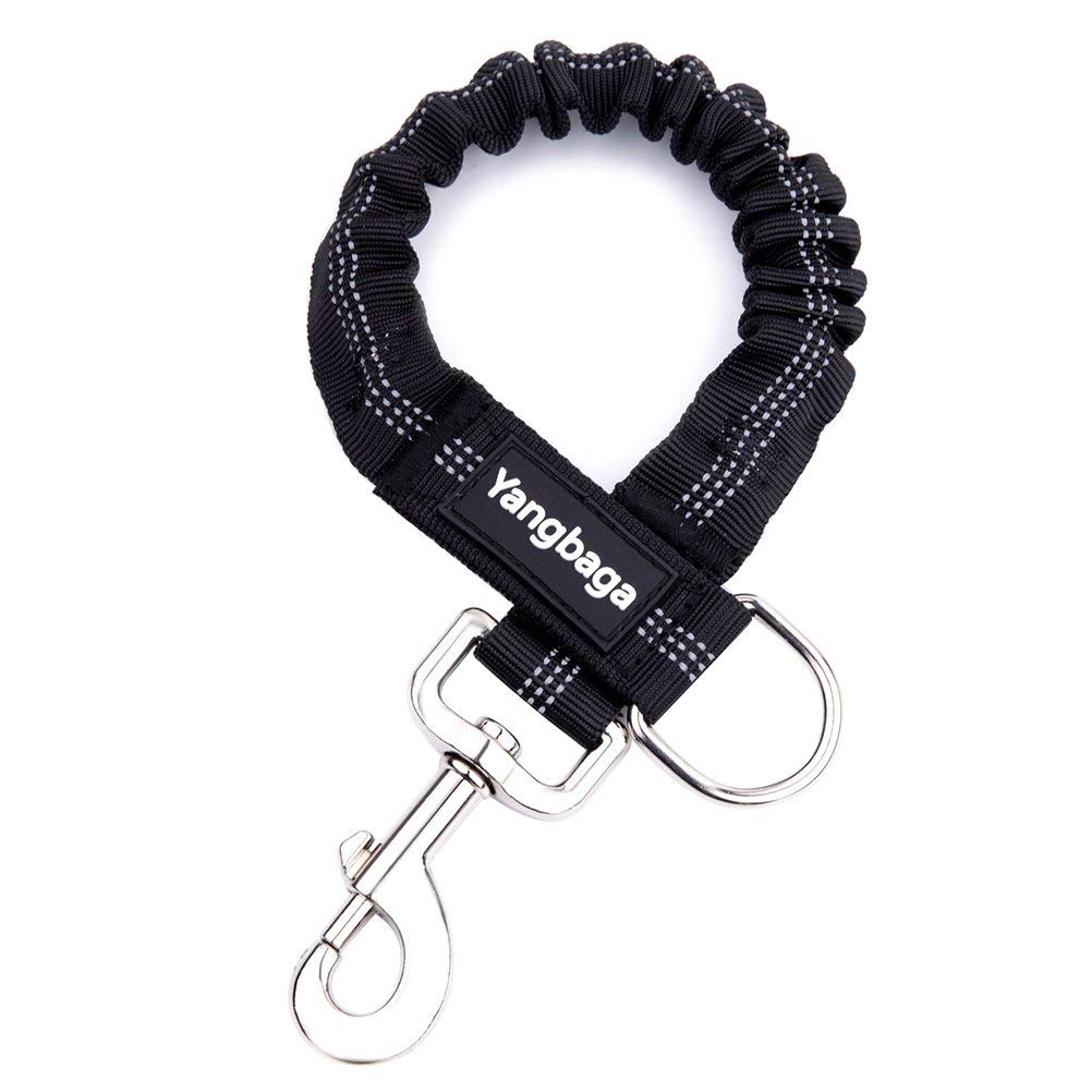 Yangbaga Dog Leash Extender (Black, For Dogs < 20Lbs)