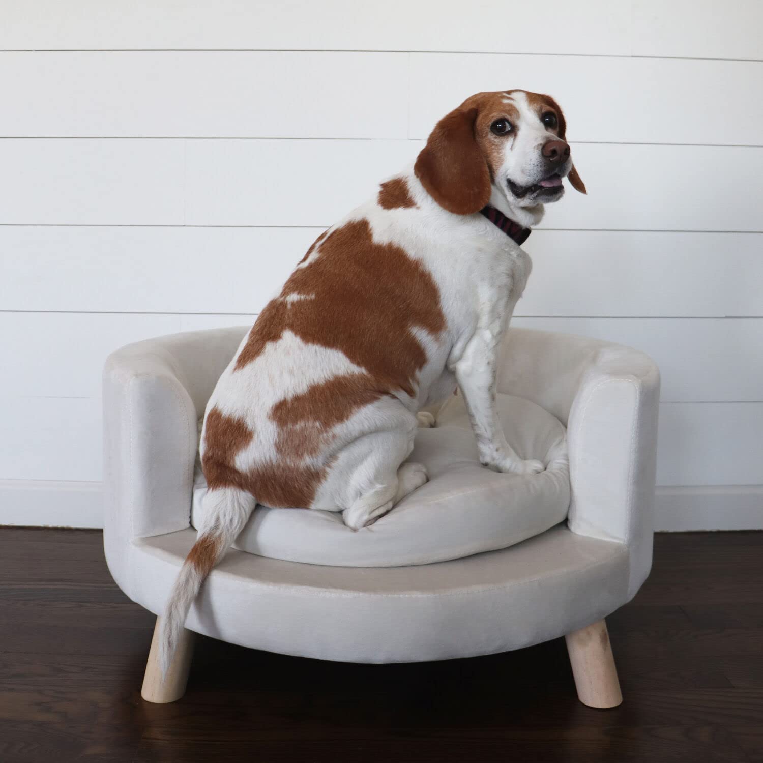 Critter Sitters 28-In. Elegant Circular Dog & Cat Sofa, Modern Elevated Pet Bed in Faux-Velvet White, Comfortable for Small to M