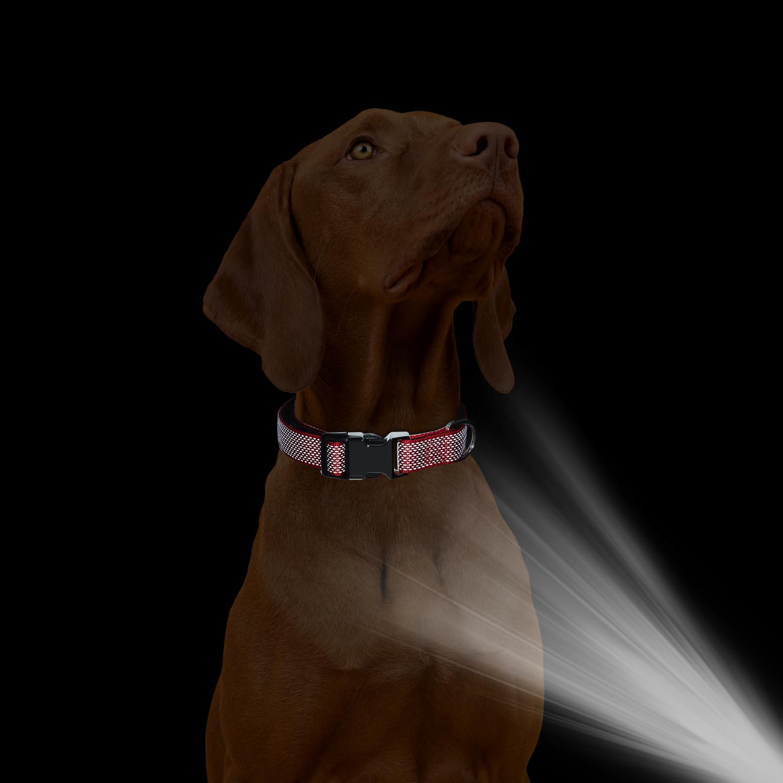 Personalized Dog Collar,Engraved Reflective Dog Collar, Custom Dog Collar, Pet Collar, Quick Release Buckle, Gifts for Pets (Re