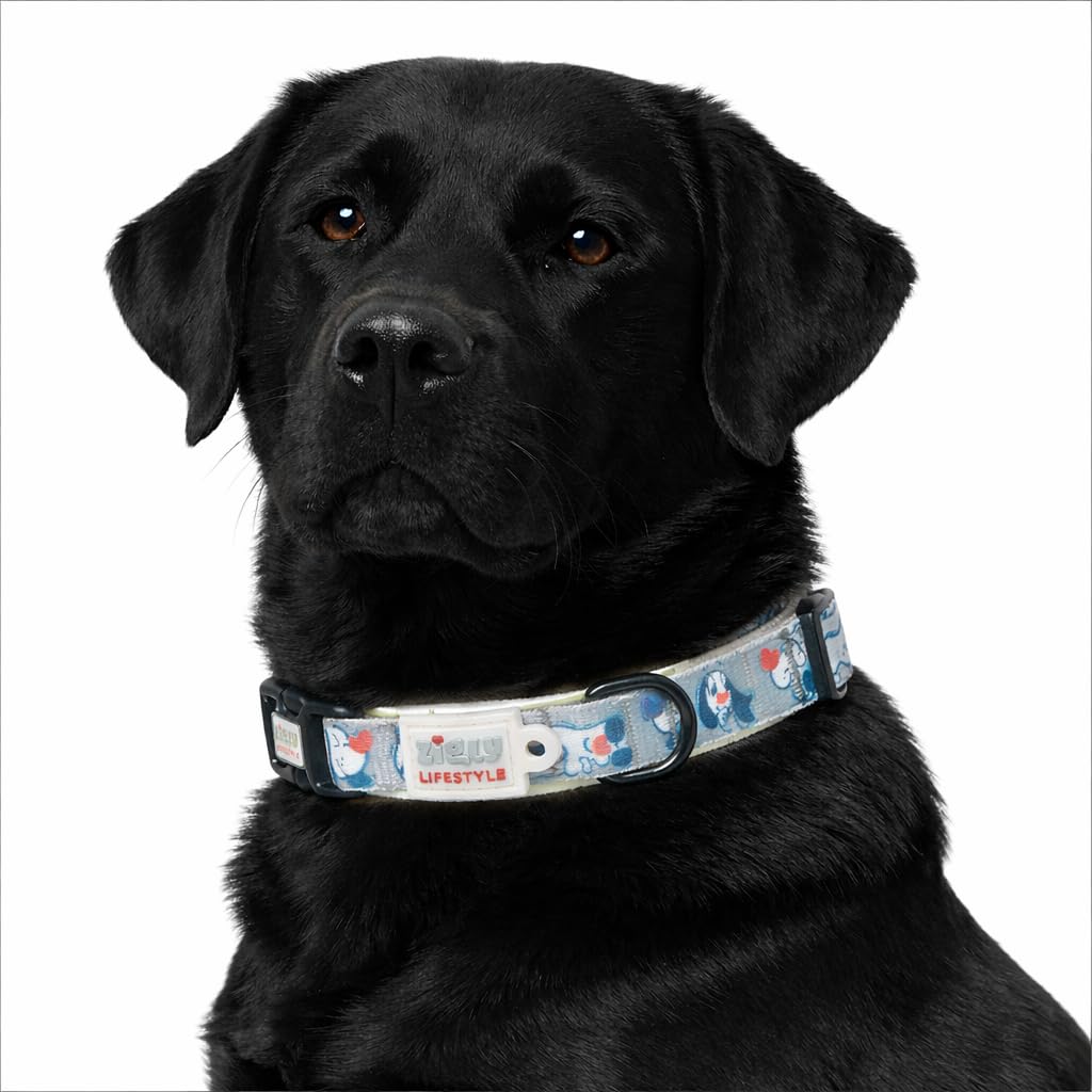 Zigly Lifestyle Doodle Dog Collar For Large Dogs | Adjustable & Durable Stylish Pet Collar For Everyday Use | Comfortable Daily 