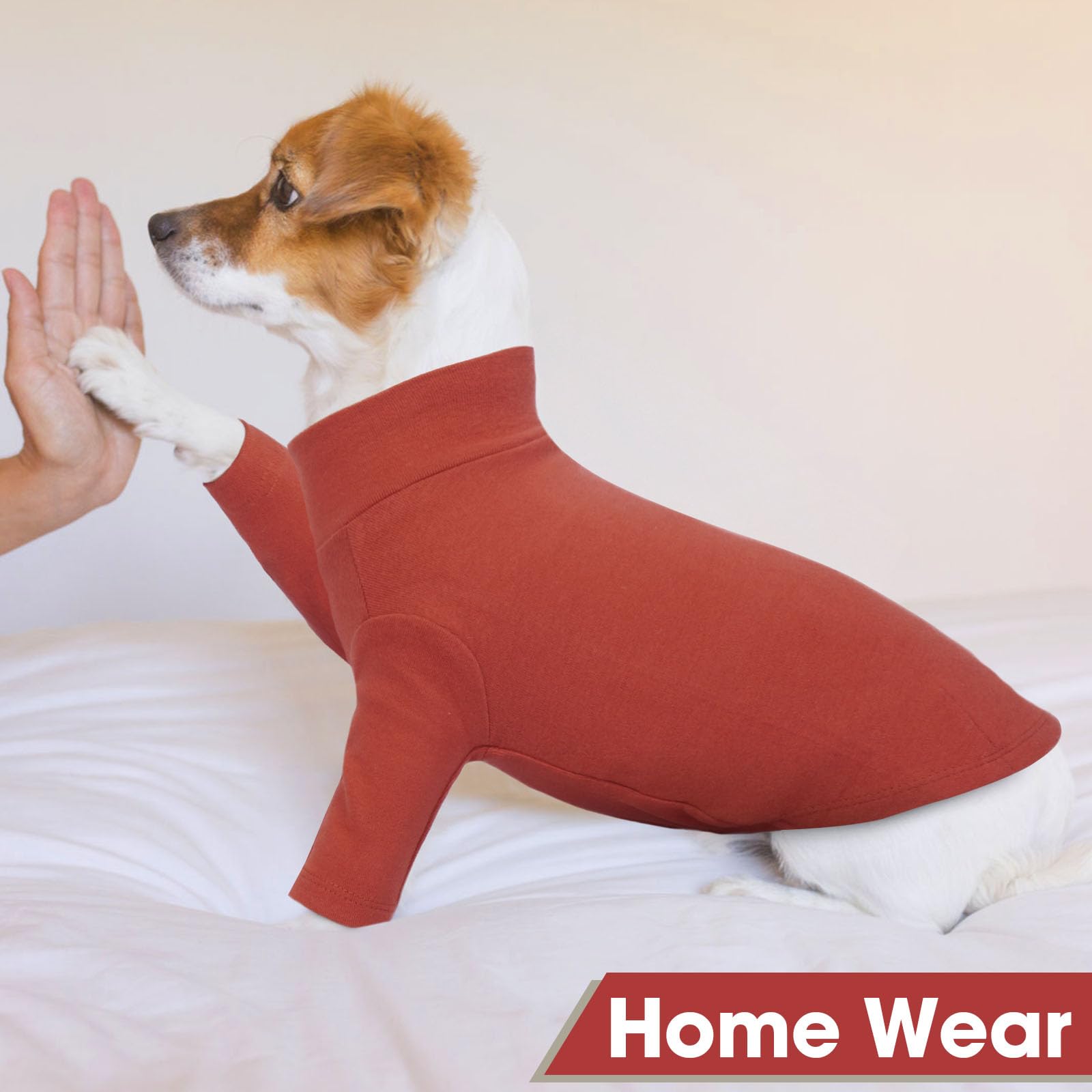 2 Pack Xs Letsqk Breathable Long-Sleeve Solid Dog Tee For Extra Small Dogs, Skin-Friendly Dog T-Shirt, Ideal Chihuahua Apparel,