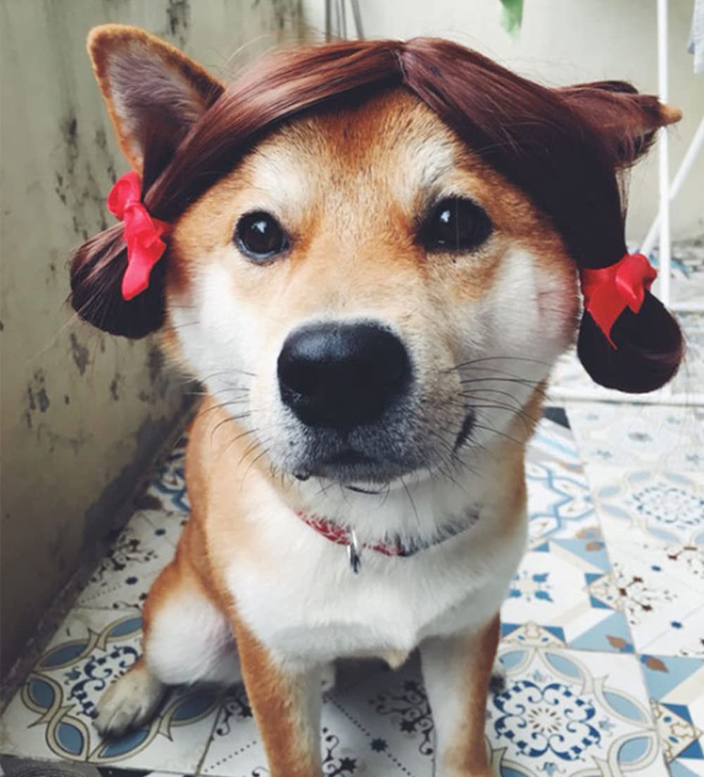 Dog Wig Pet Costumes, Cat Costume Synthetic Accessories Small Dog Headwear For Halloween Christmas Eve Festival Party Decor, Head Wear Apparel Toy (C)