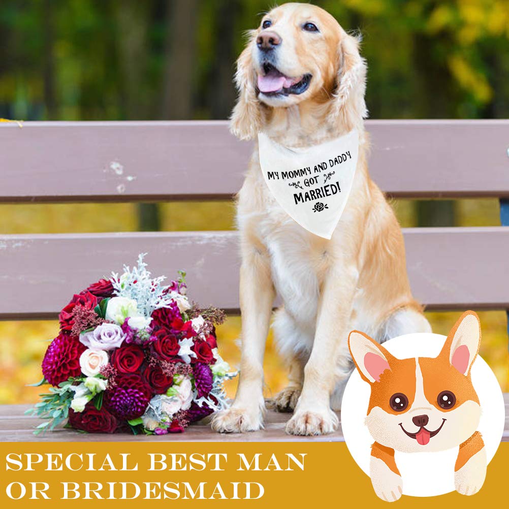 PUPTECK Engagement Gift Wedding Dog Bandana - Triangle Bibs Scarf Pet Accessories, Wedding Photo Prop for Small Medium Large Dog
