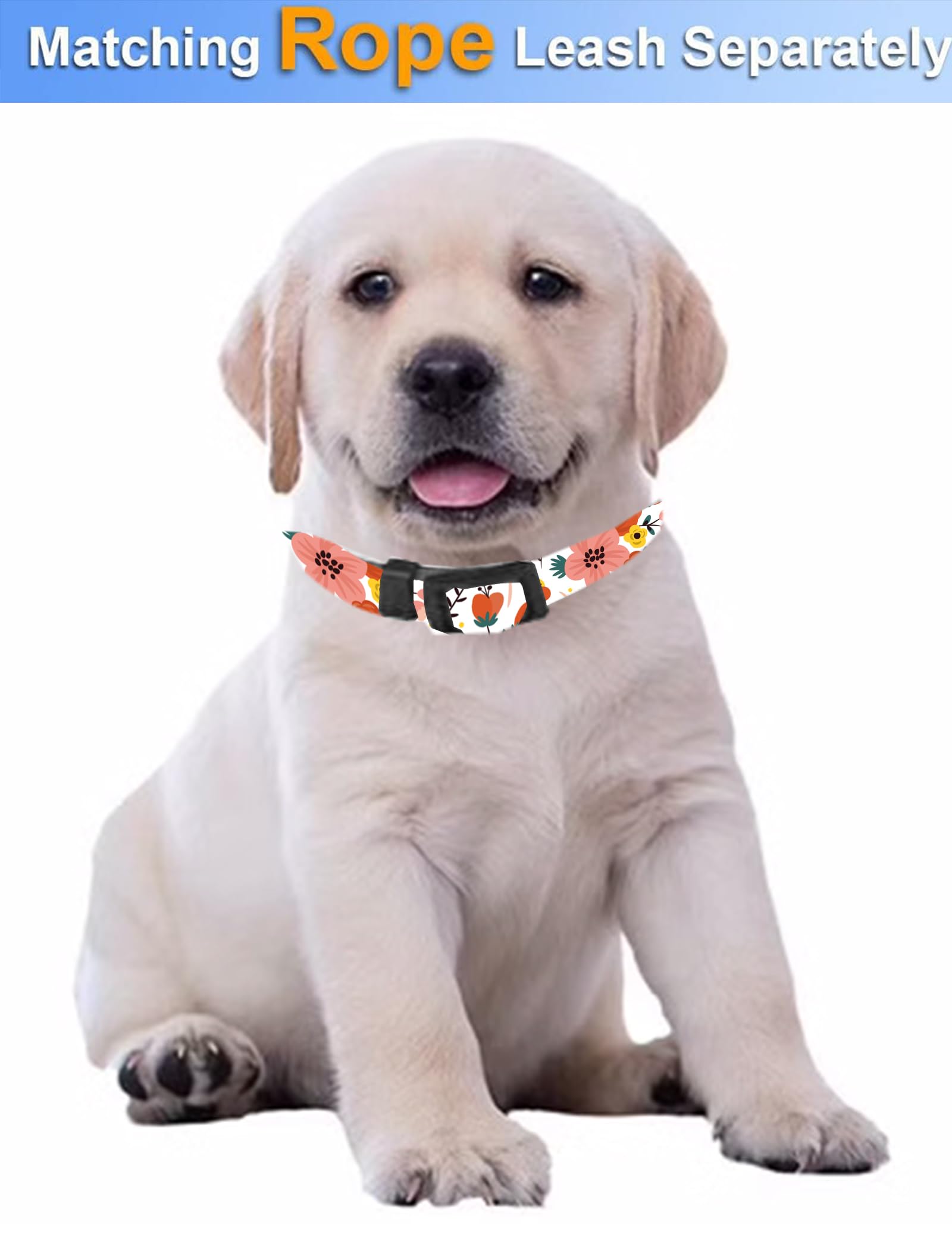 Sxboxing Dog Collar, Cute Dog Collar For Small Medium Large Dogs, Personalized Adjustable Soft Pet Collars With Quick Release Bu