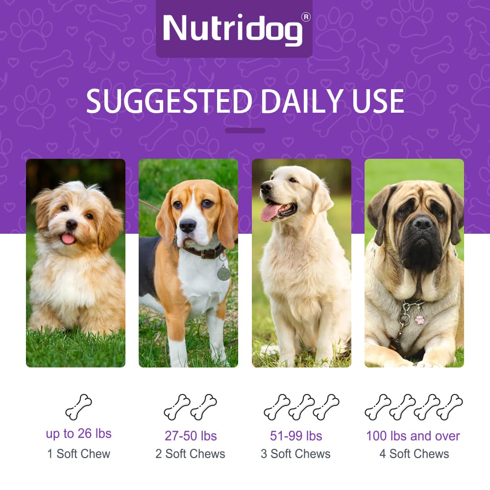 Nutridog Turmeric Chews for Dogs with Curcumin & Coconut Oil Joint Pain Relief, Anti-Inflammatory Antioxidant Support, 120 Salmo