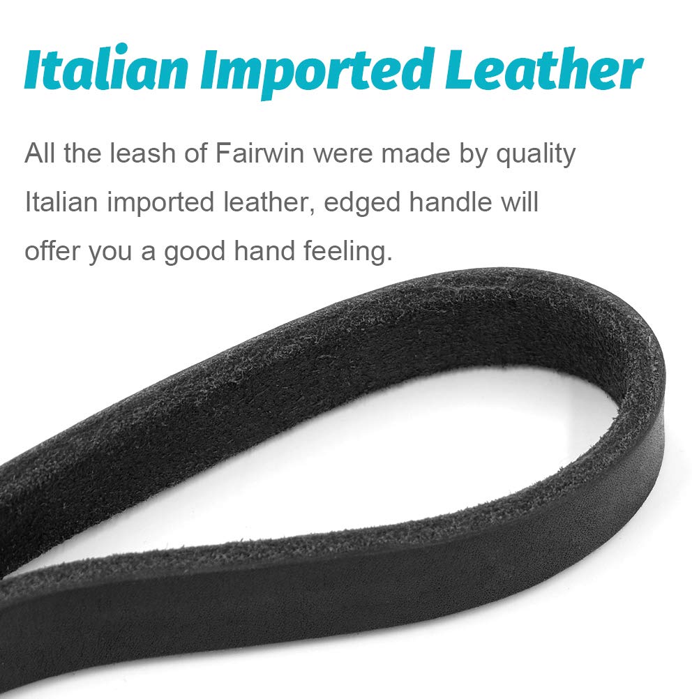 FAIRWIN Leather Dog Leash - 6ft Braided Heavy Duty for Large Medium Small Dogs, Black, Model FW004B