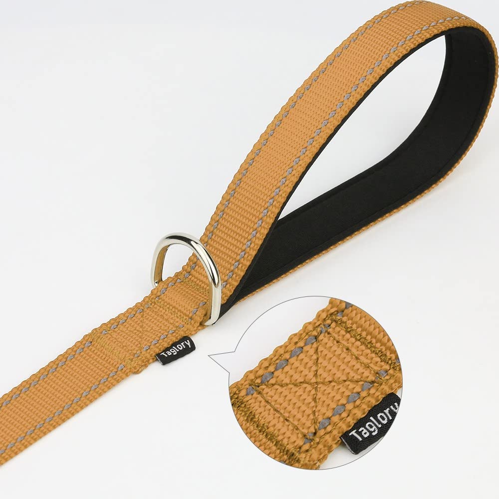Taglory Nylon Dog Leash 6Ft, Soft Padded Handle Pet Reflective Leashes For Medium Large Dogs Walking & Training,Tan