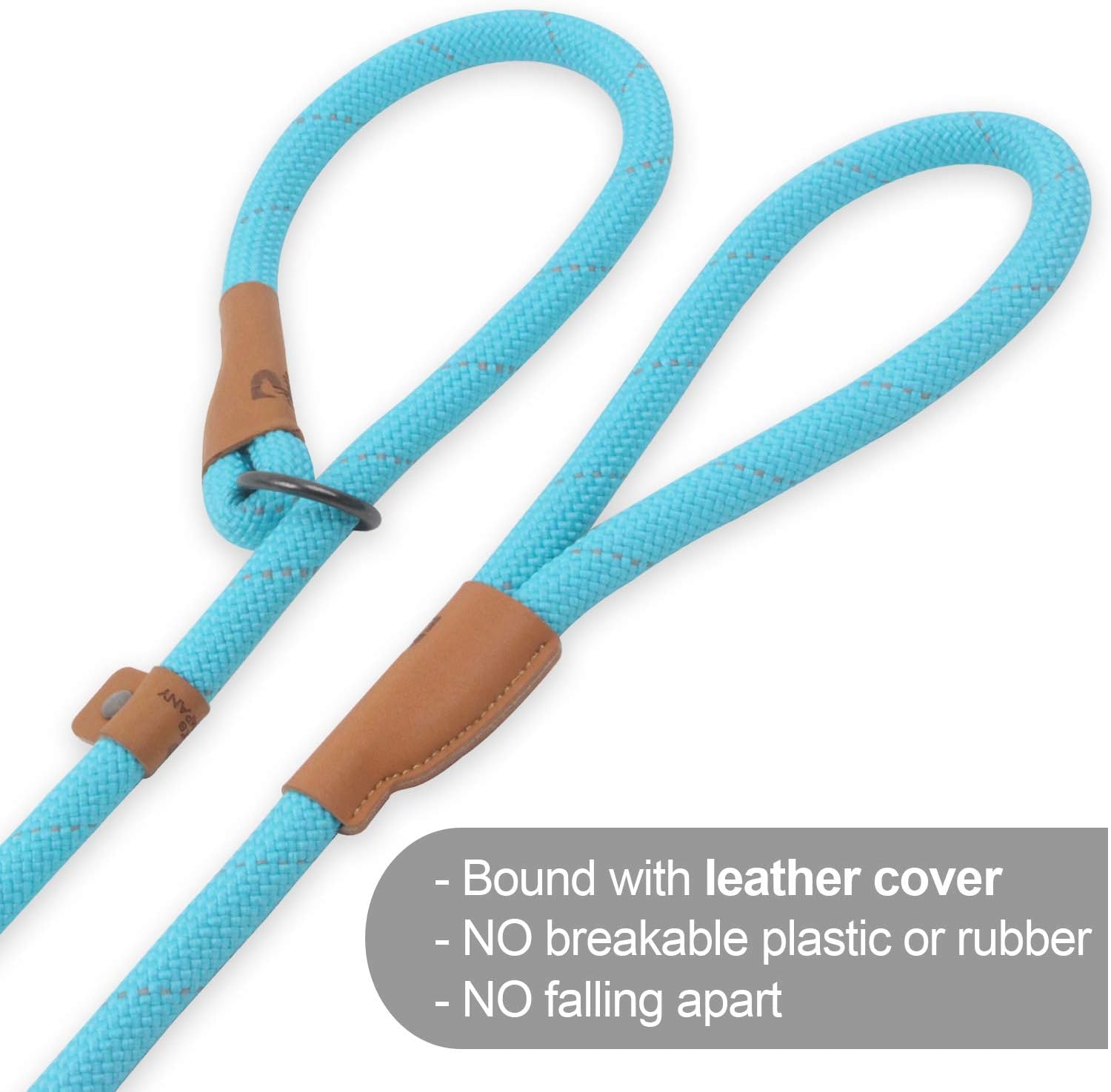 Slip Lead Dog Leash - 5Ft, 2 Sizes - Reflective Mountain Climbing Rope (Turquoise, 2/1)