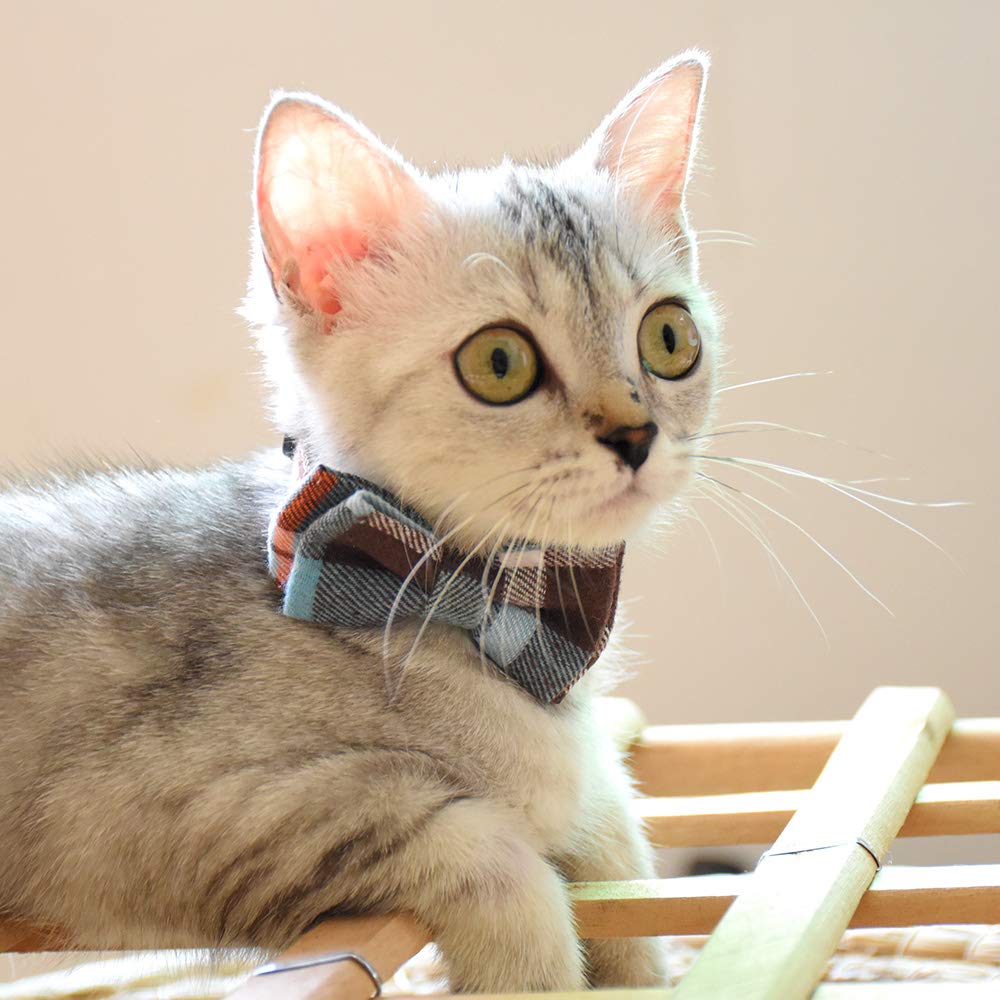 Bowtie Cat Collars Breakaway With Bell, Adjustable Cute Kitty Collars Safety Buckle Kitten Collar For Cat Puppy 7.5-11In (14)