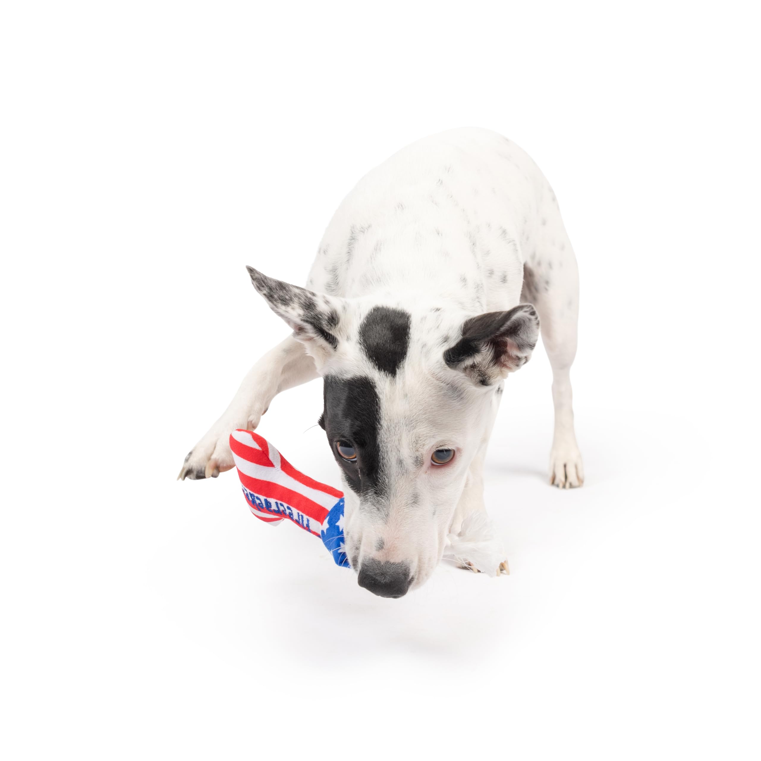 Huxley & Kent H&K Dog Tiny Tuff Lil' Firecracker Bone