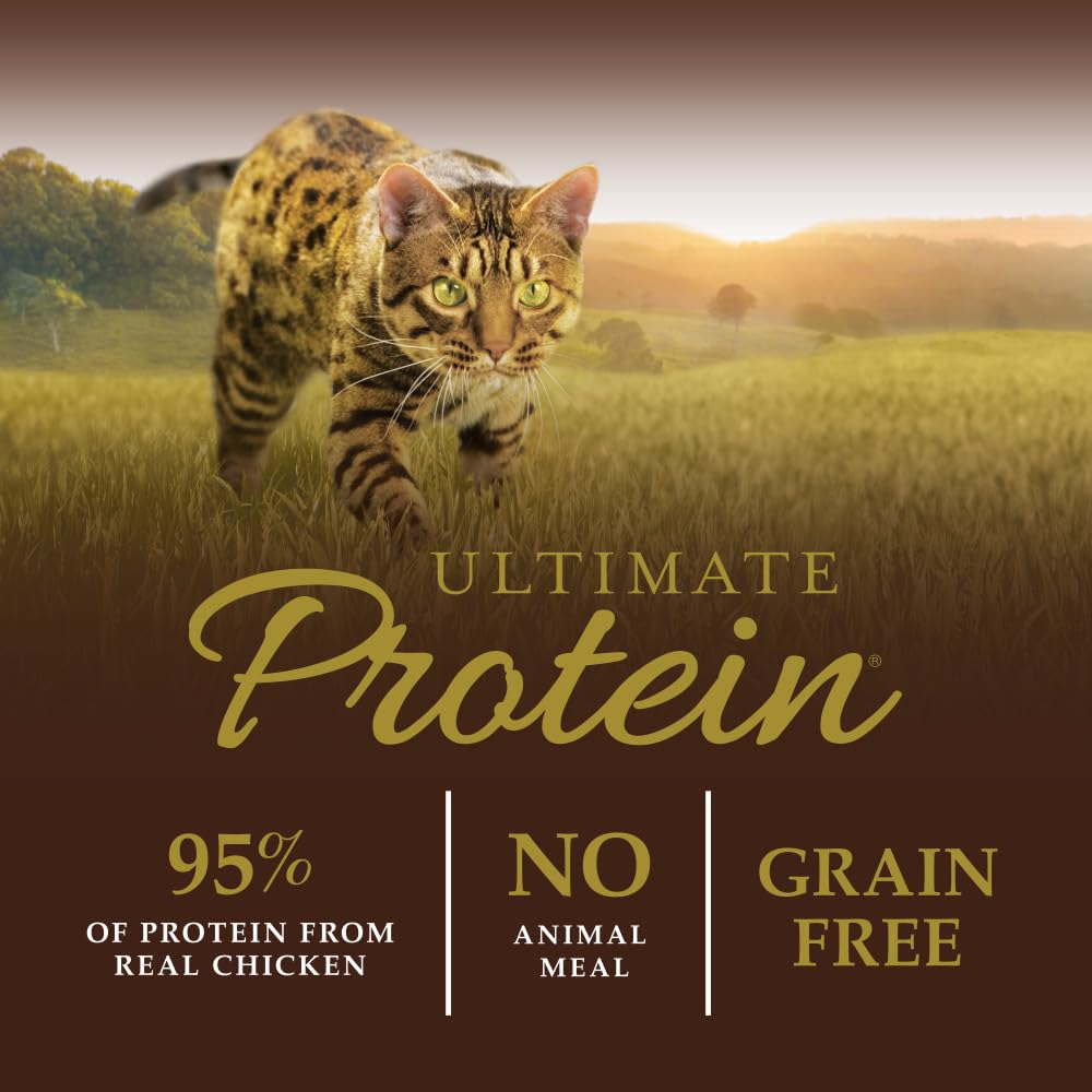 Instinct Ultimate Protein Grain Free Cage Free Chicken Recipe Natural Dry Cat Food, 4 lb. Bag