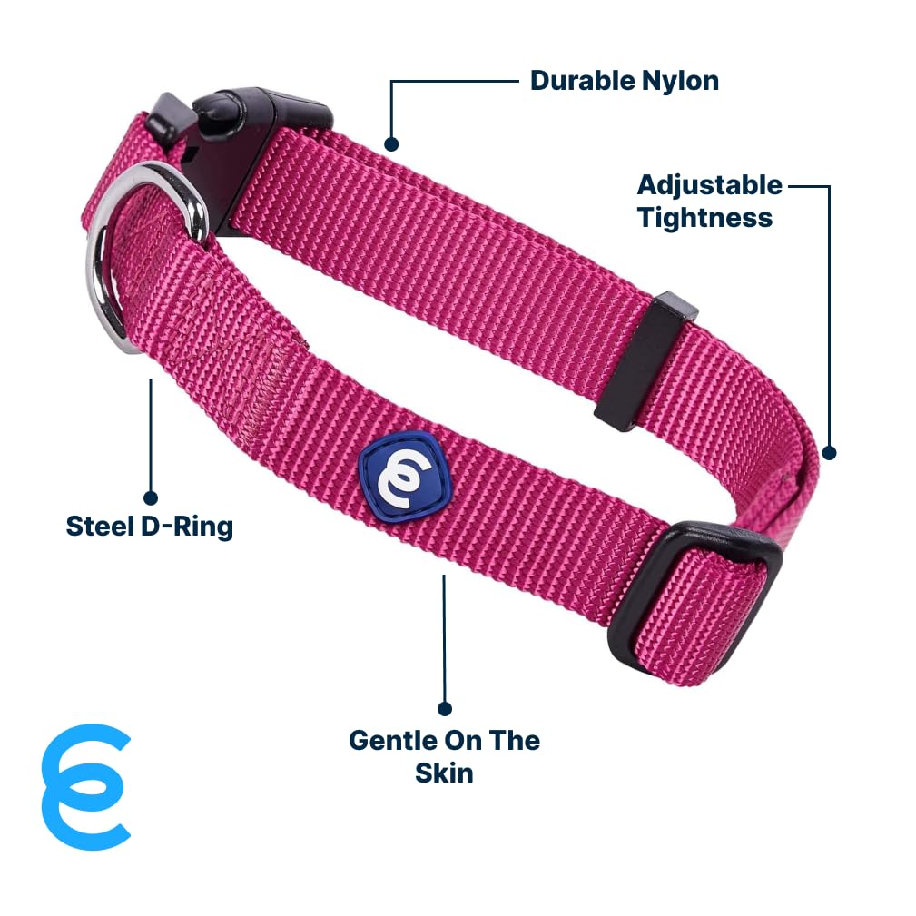 Blueberry Pet Essentials Small Dog Collar | Girl Dog Collars Fall | Female Dog Collar Small | Very Berry Dog Collars For Small D