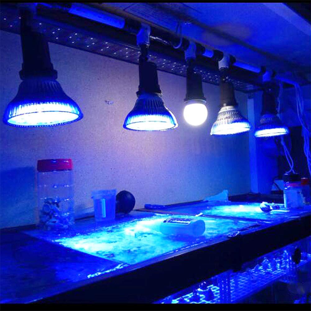Kingbo Led Aquarium Plant Light Bulb, 18W Refugium Light Aquarium Plant Lights Fish Tank Bulb With 6 Band Full Spectrum For Coral Reef Saltwater Tank Plants Growth