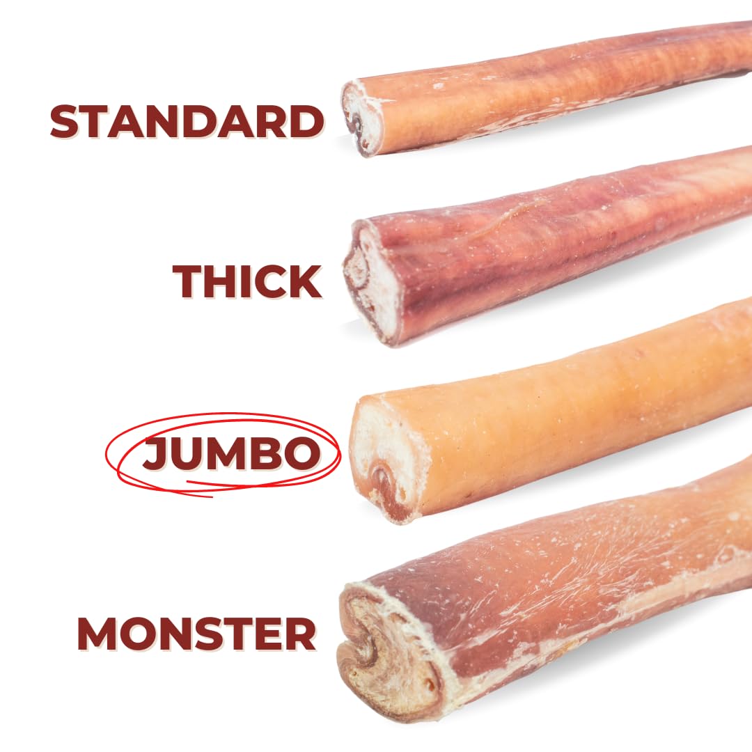 Bully Bunches Premium 12 Inch Jumbo Odor-Free Bully Sticks for Medium & Large Dogs - Long Lasting Chews for Oral Care - All Natu
