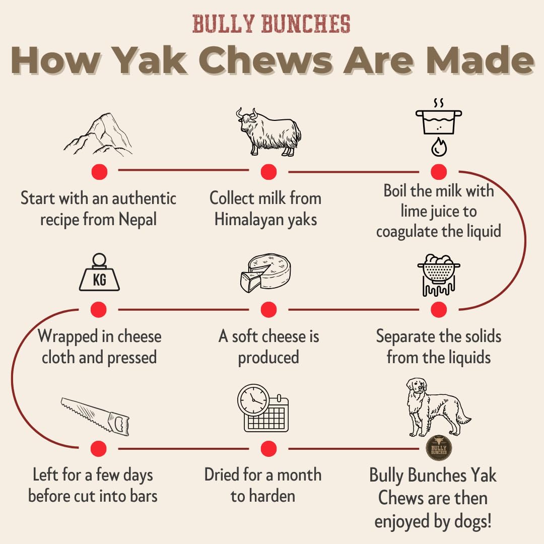 Bully Bunches Extra Large Authentic Yak Cheese Himalayan Chews for Large Dogs & Aggressive Chewers - All Natural Dog Treat Denta